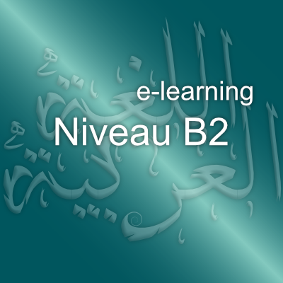 06. Niveau intermédiaire B2 – <br>E-learning