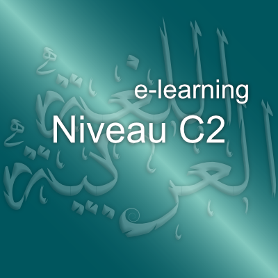 08. Niveau confirmé C2 – <br>E-learning