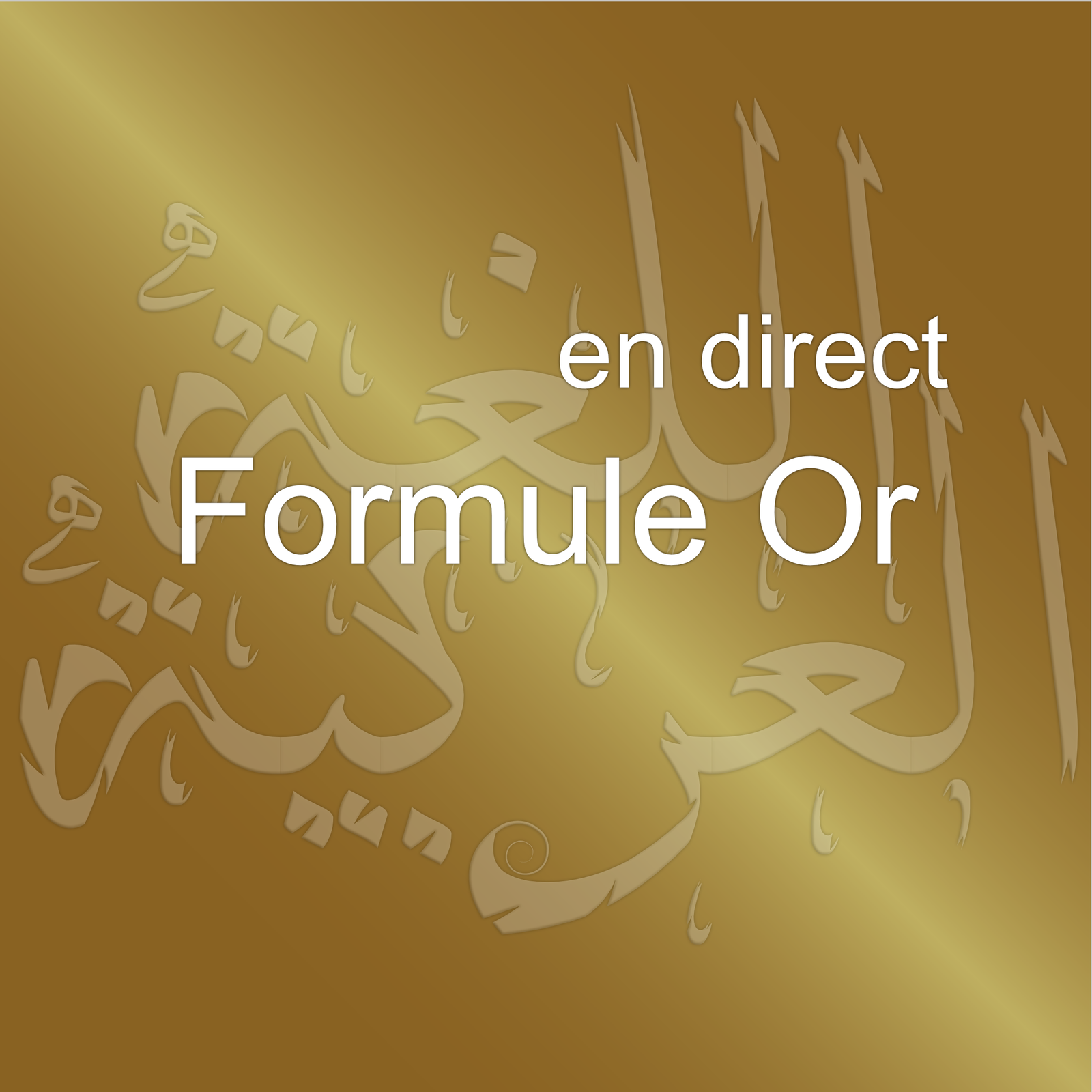 01.Arabe du quotidien <br>(2cours/sem) <br>+Arabe religieux <br>(1cours/sem) <br>+Quran <br>(1cours/sem)