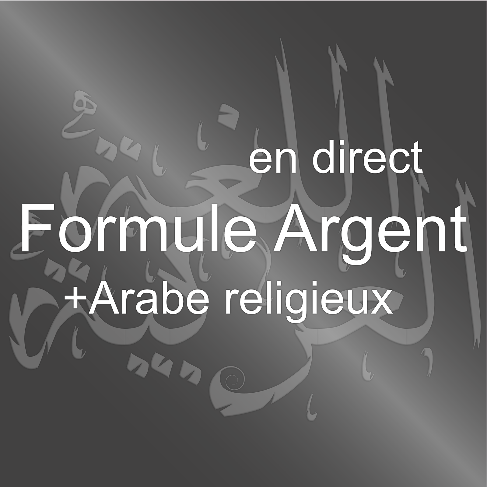 02.Arabe du quotidien <br>(2cours/sem) <br>+Arabe religieux <br>(1cours/sem)