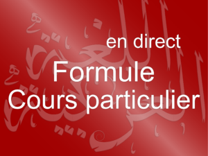 12.Cours Particulier : <br>Soutien Scolaire